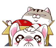 2jQj1x2.png