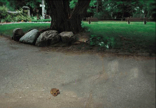 4dd6R9T.gif