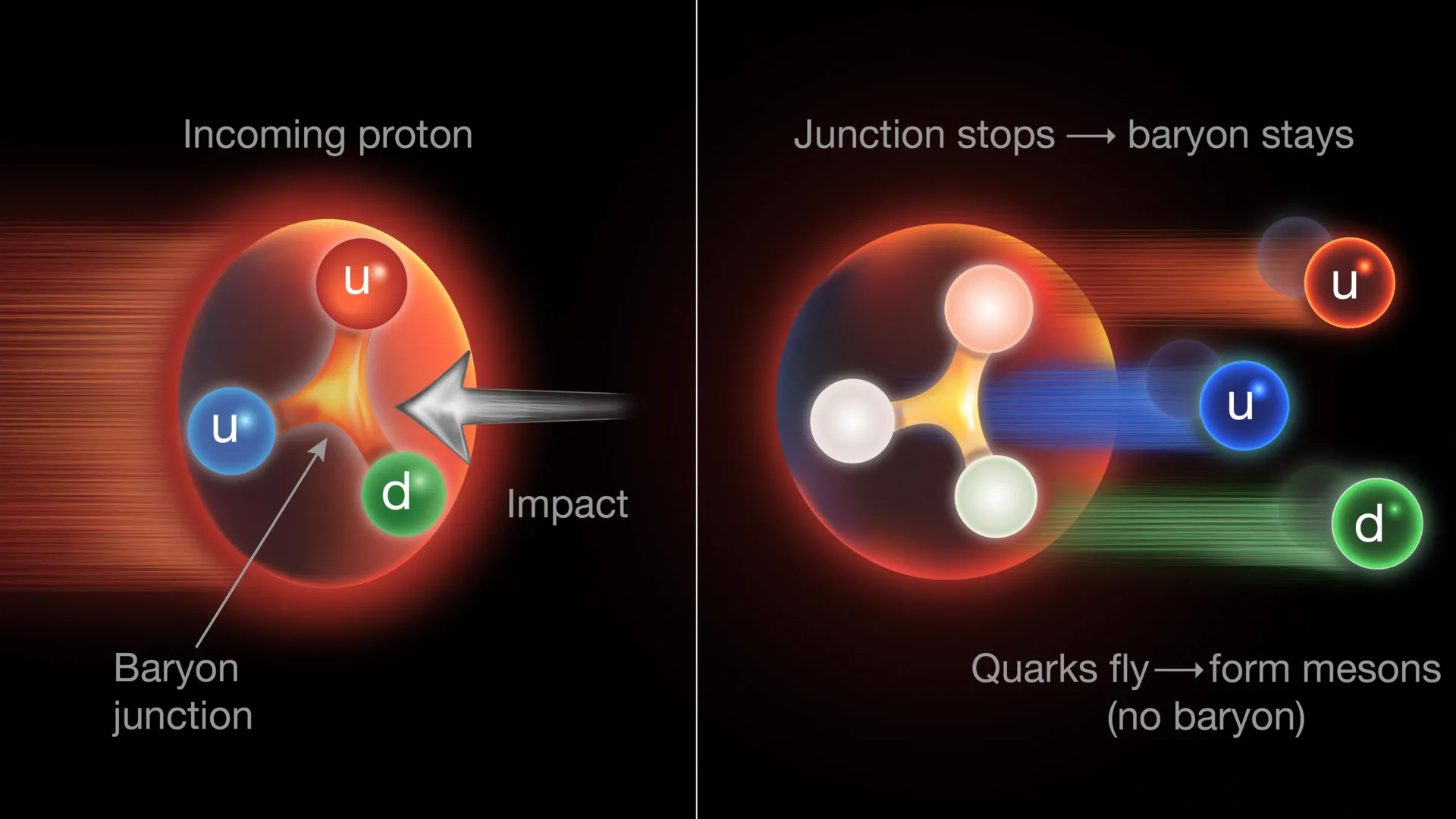 www.sciencedaily.com