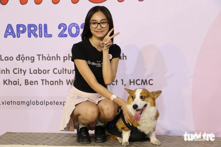 Chú chó corgi tên Athena - một trong những khuyển thủ giành giải cao của cuộc thi corgi marathon - bên cạnh cô chủ - Ảnh: BÌNH MINH
