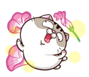 xYlx9LJ.png