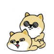 YpZ1dXI.png