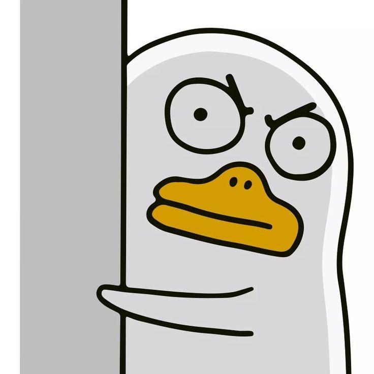 hJg3UK7.jpeg