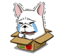 pNIPeId.png