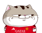 pRbMTAK.png