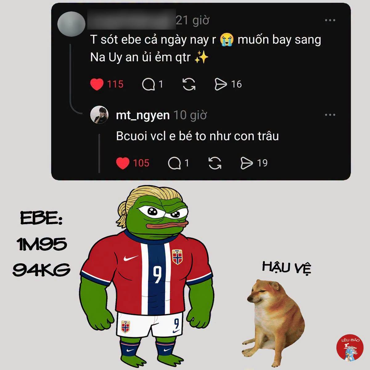 4de9e3c5676a.png