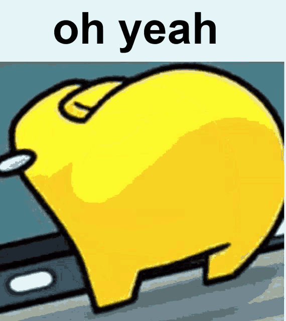 HcvcXFu.gif