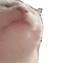 sR1Fhmy.gif