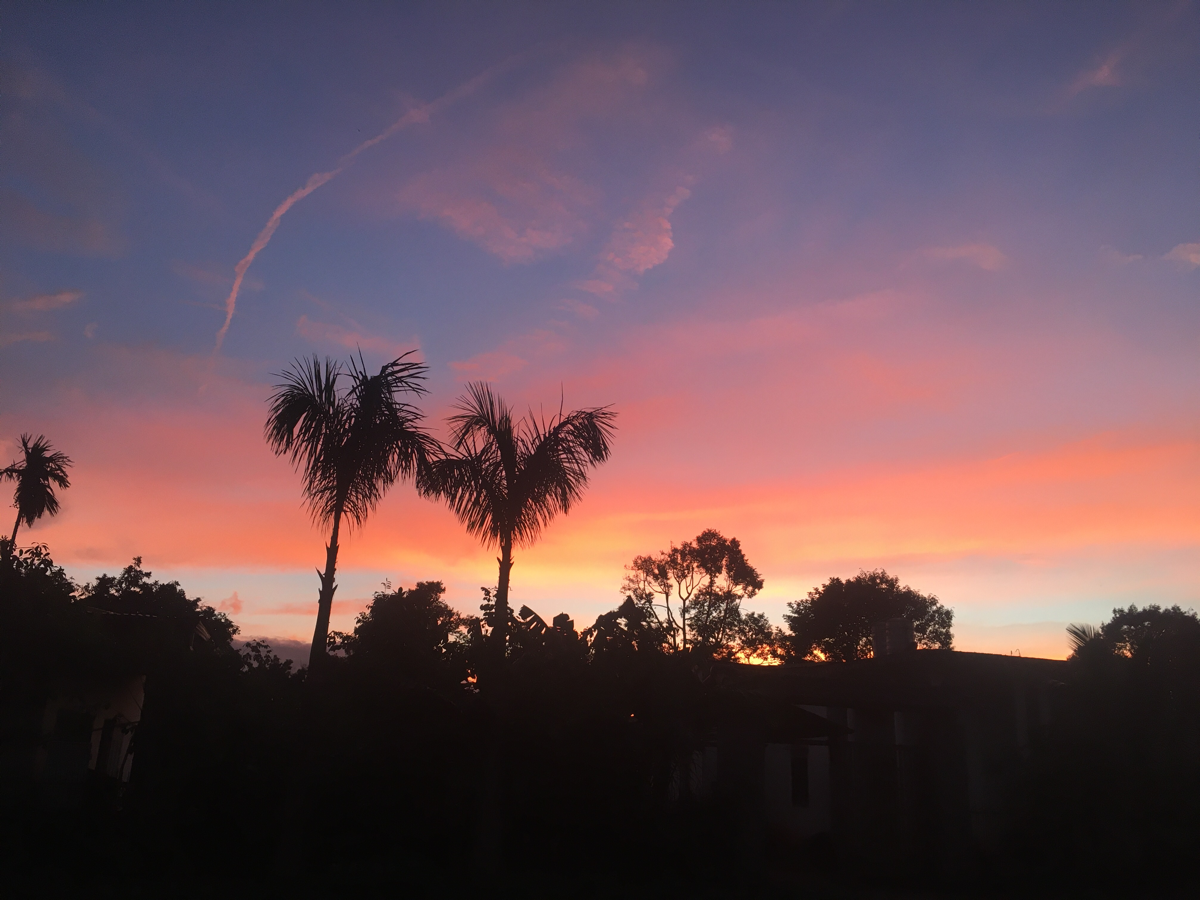 2021703c5916-0af5-4c77-9a4a-69031ff1e0ef.png