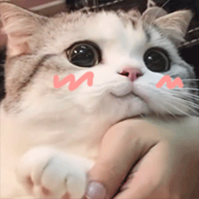 qdMk07G.png