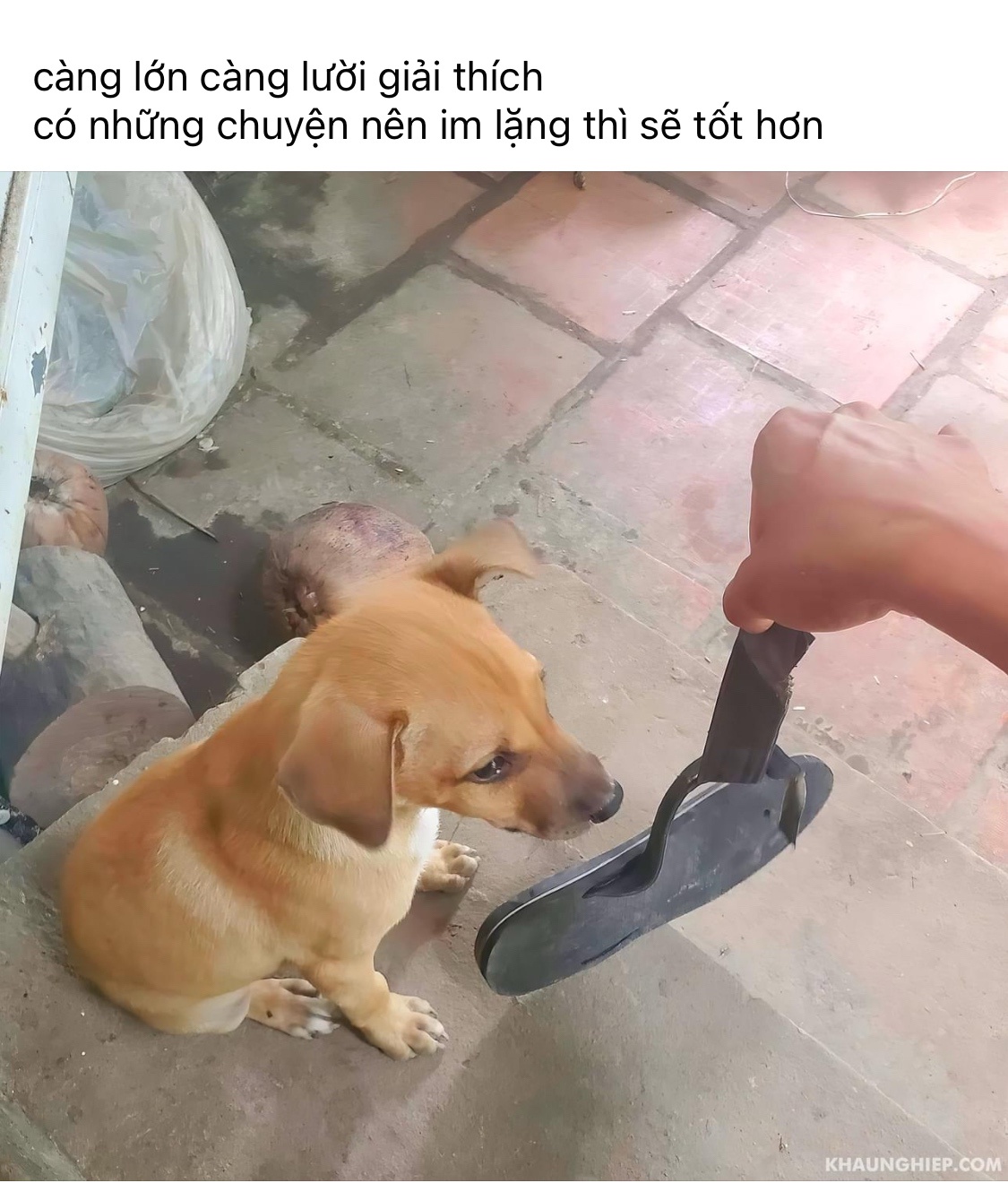 0rySo8w.jpeg