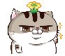 XSVjup4.png