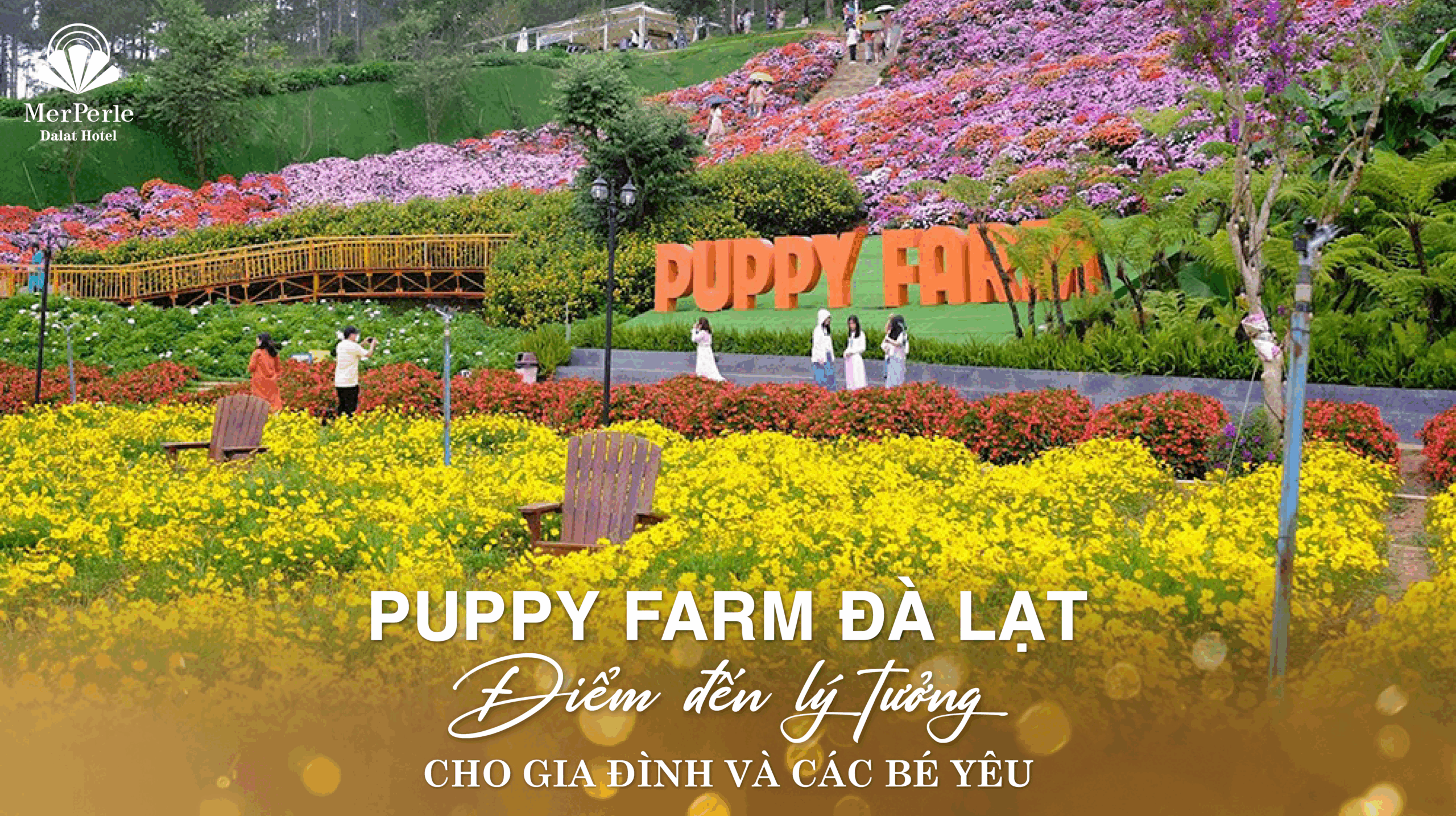 puppy-farm-da-lat-scaled.png