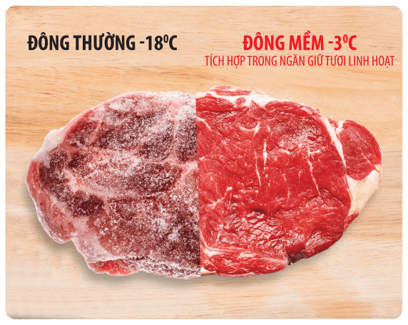dong-mem.png