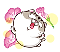 fVYwjl8.png