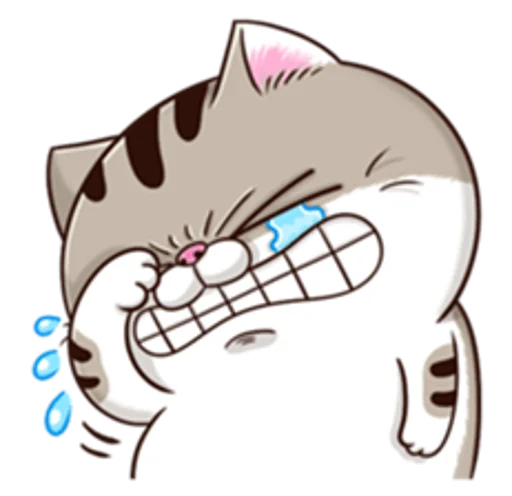 loWEBB7.png