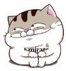 oJWKVTt.png