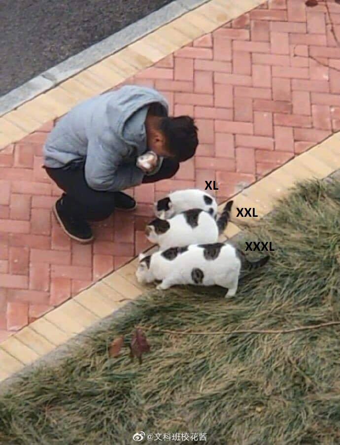 i99vo55.jpg