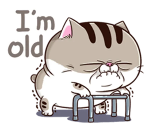 mW5fhib.png