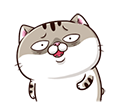 oxwOwZV.png