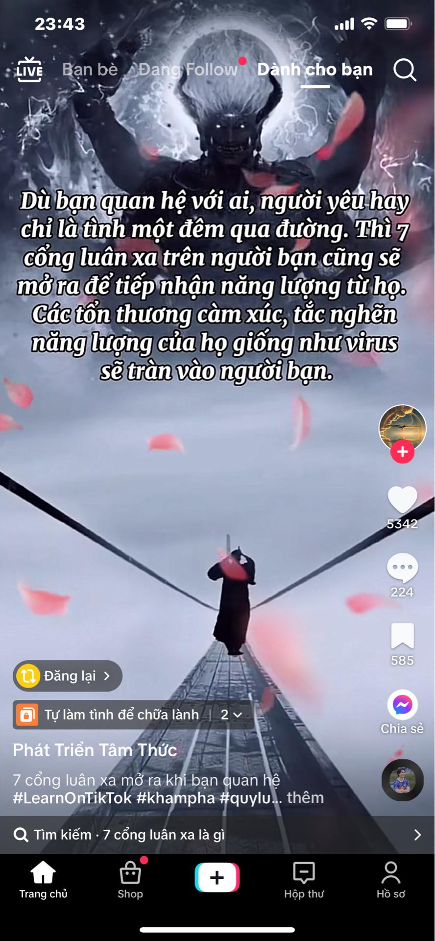 VVqkfNY.jpg