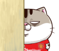 i3sfmt0.png