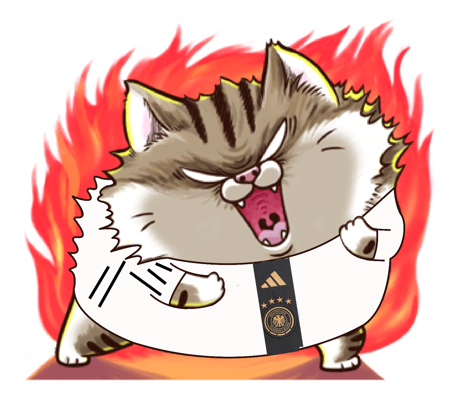 5SfJJ8C.png