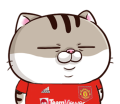 mFaqfM9.png