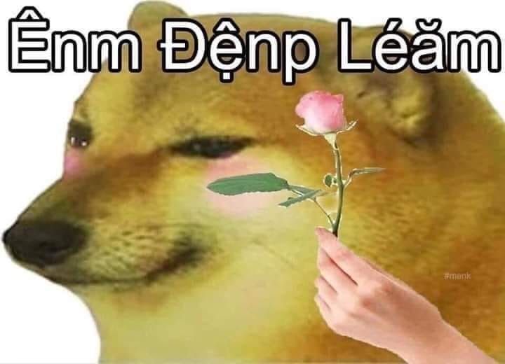 21c1cce02ecf2585c4e196a4951683b4.jpg