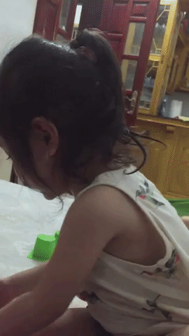 giphy.gif