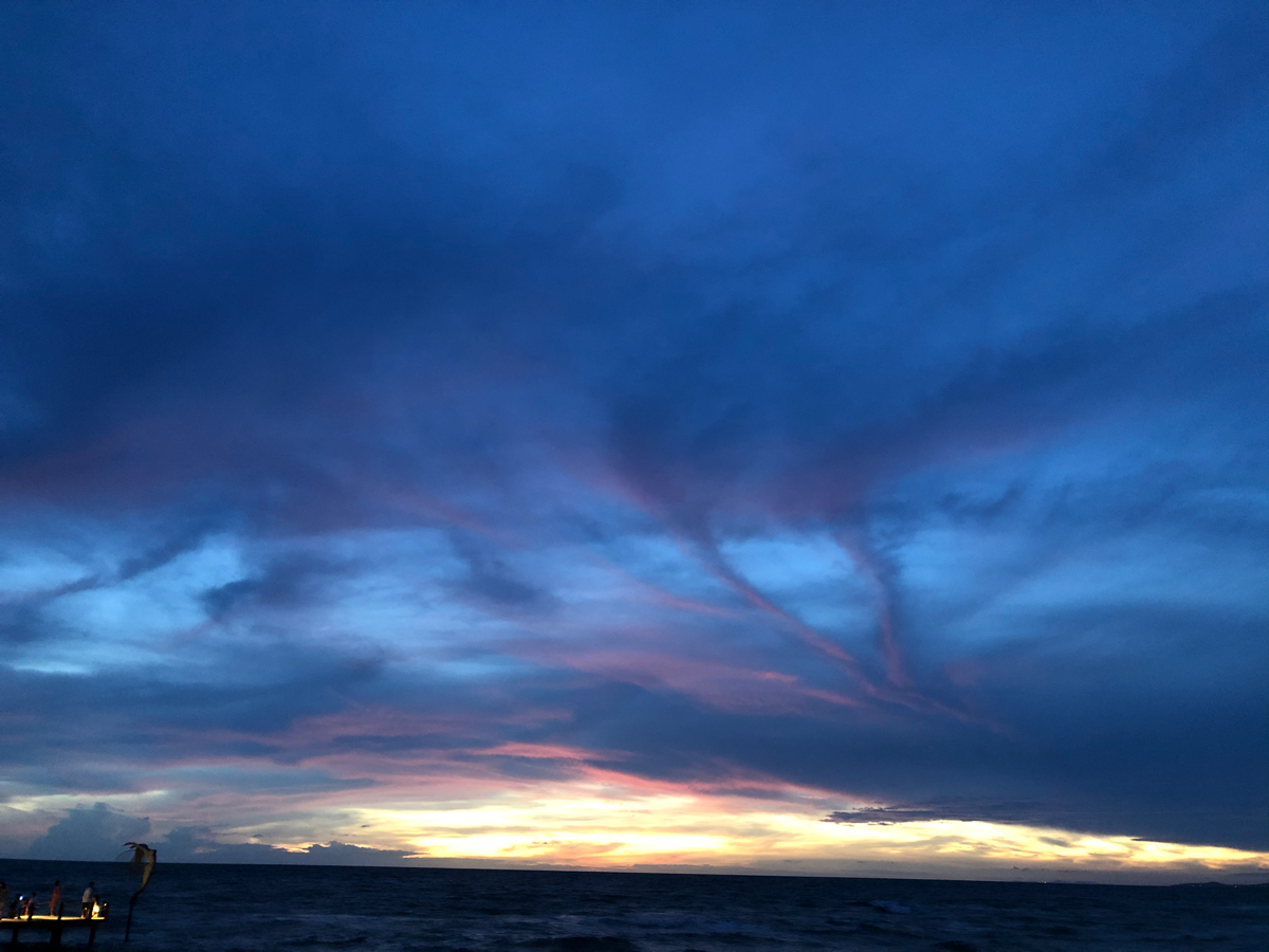 2020135e91ba-8236-444d-ba1e-252498693f4d.png