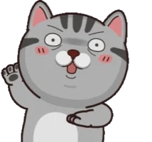 4q0sDZk.gif