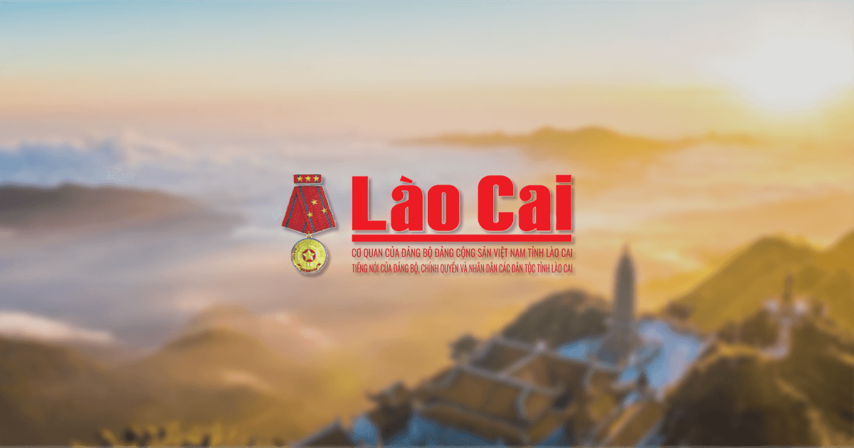 baolaocai.vn