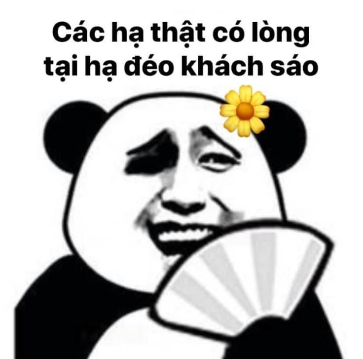 GQliOvj.jpeg