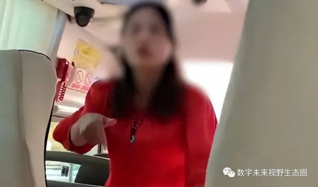 Hướng dẫn viên Trung Quốc mắng khách cả tiếng vì không chịu mua sắm - 1