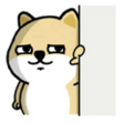 wqXWeos.png