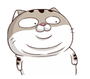 rCdAaMg.gif