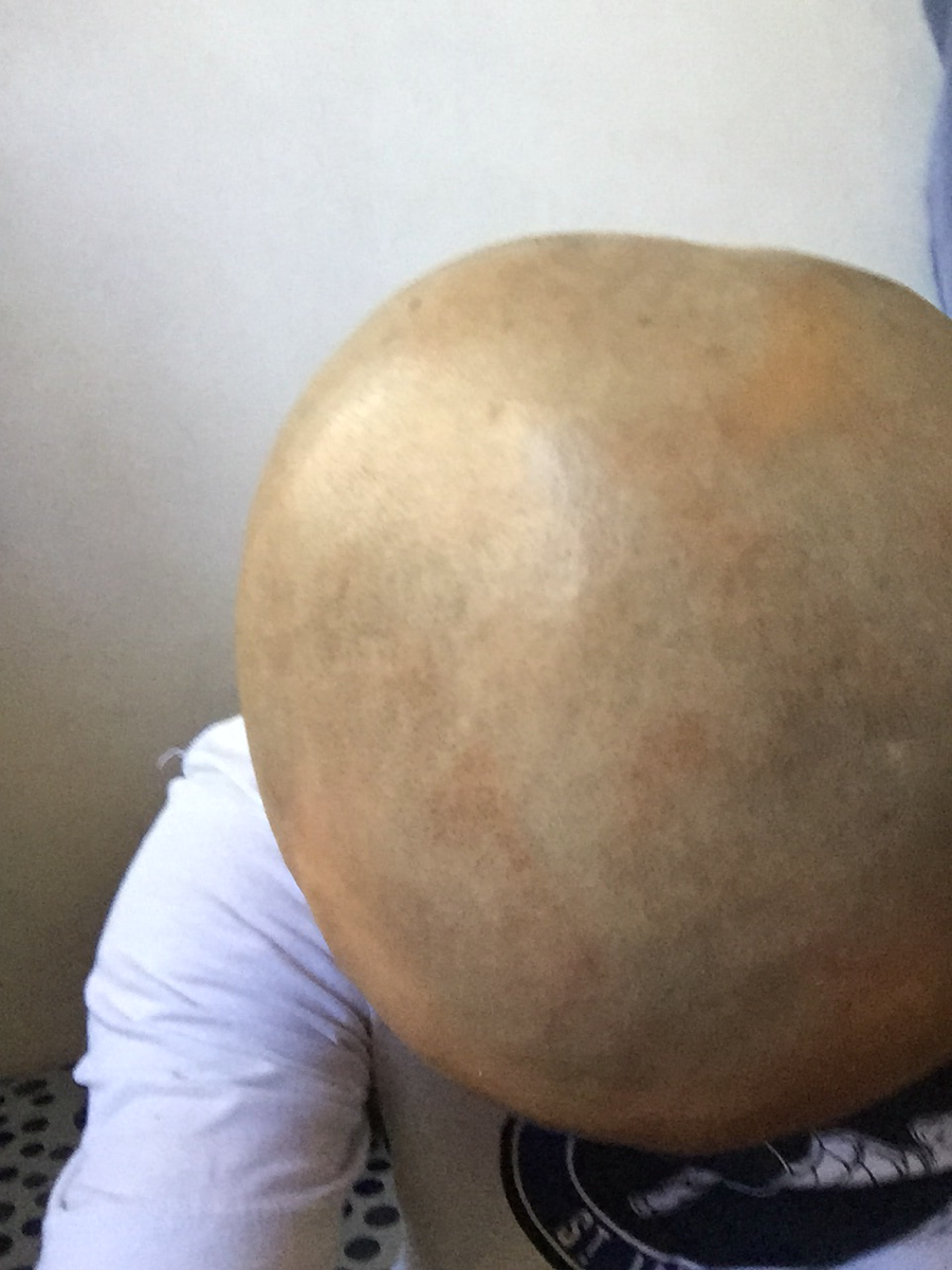 2020735aa137-ab1f-4ba7-bedd-ea558c0b0acf.png