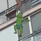 NNXxmFH.png