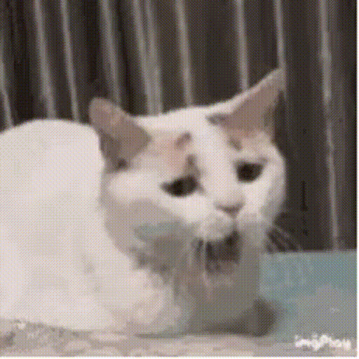 rNwMN6z.gif