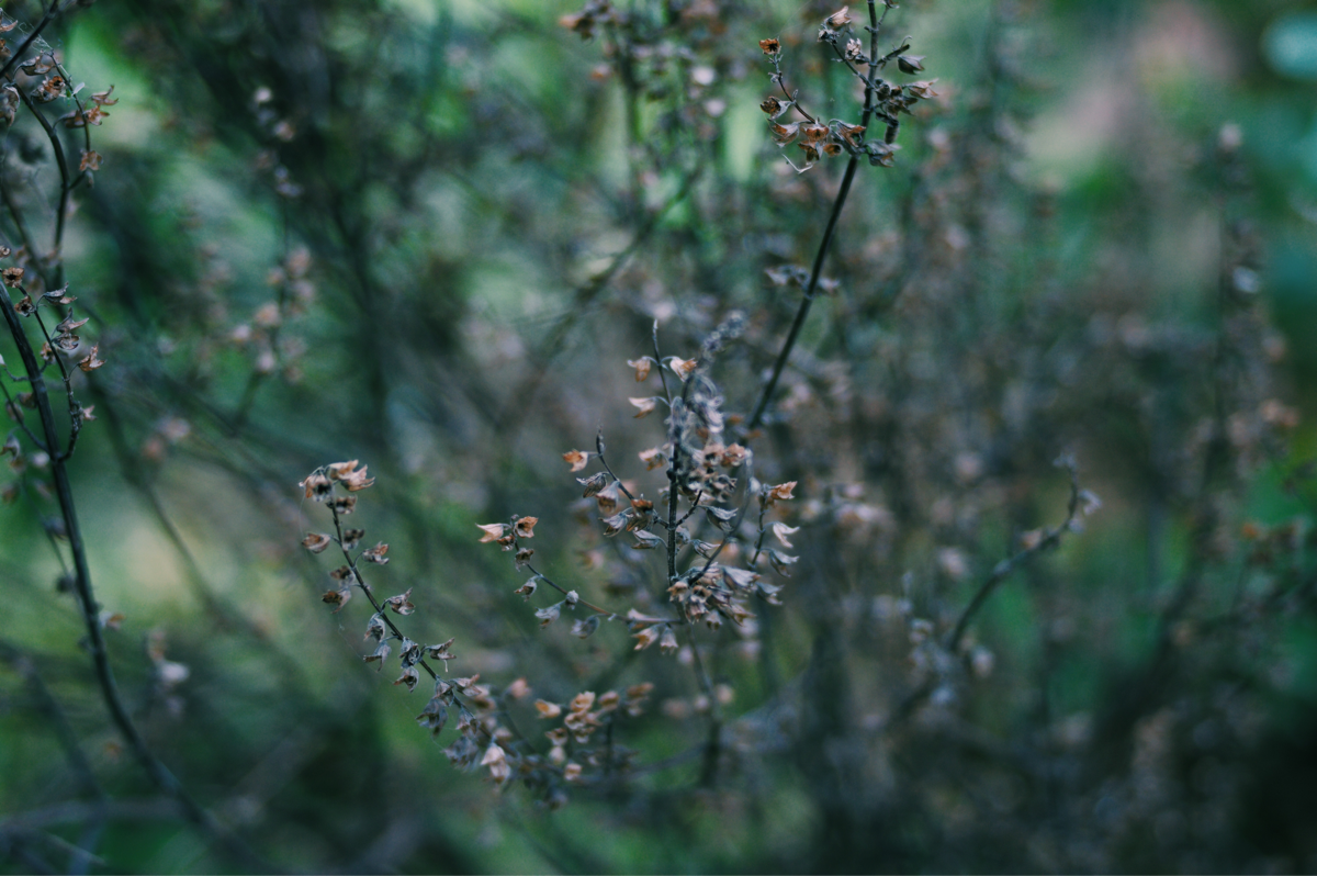 20219e500330-67d9-44b2-9b90-9550cf77c5e0.png