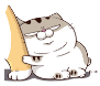 ajdfPQq.png