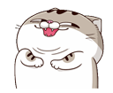 vrMkl43.gif