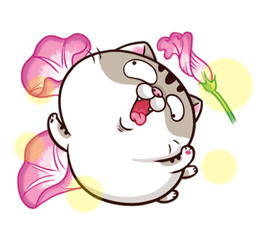 qwXxjOC.png