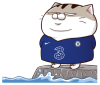 kVRqbwz.png