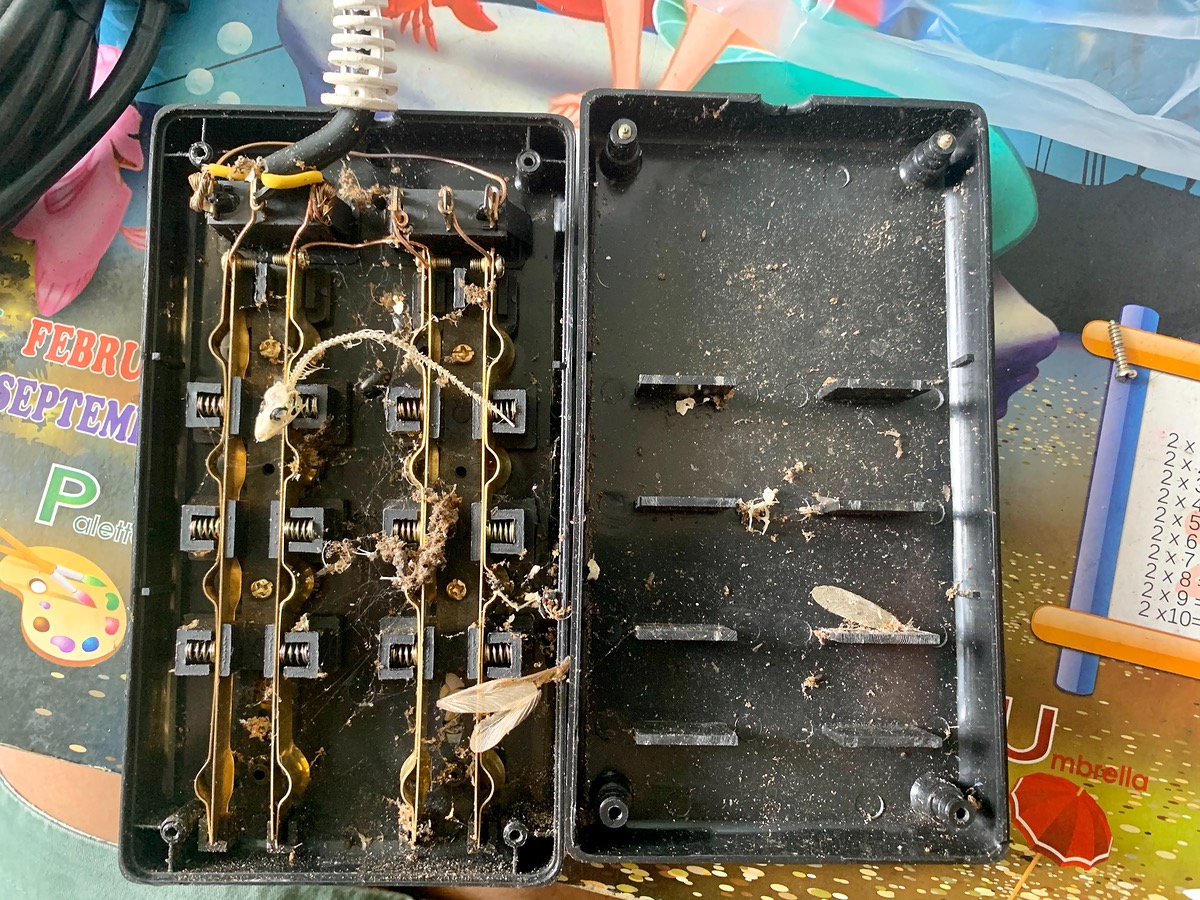 202033368c96-485f-4685-8780-79c64b0528f2.jpg