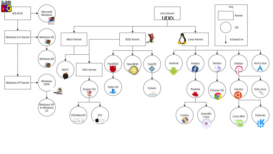900px-Os_family_tree.png