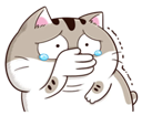 nzFkwvD.png