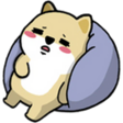 WoAJeNI.png