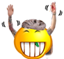 1qSnXsL.png
